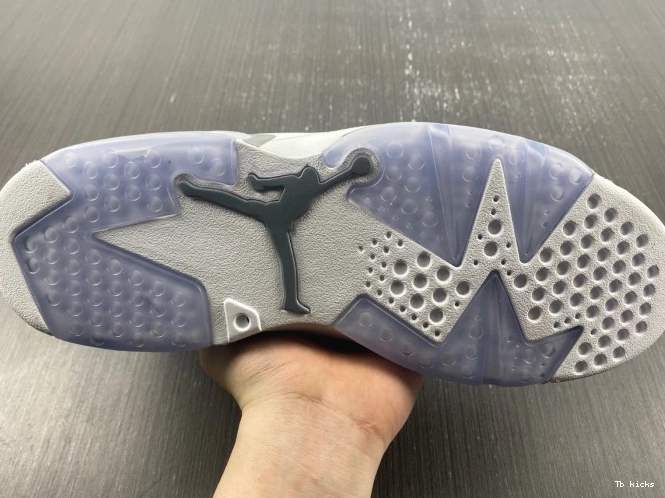 Reps TBK CT8529-100 Cool Jordan Grey Air 6 0709